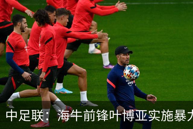 中足联：海牛前锋叶博亚实施暴力行为 停赛4场罚款4万